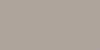 Gray Whale