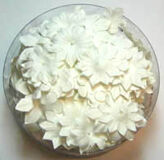 Vita Pappersblommor mix