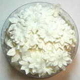 Vita Pappersblommor mix