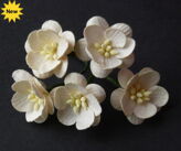 DEEP IVORY CHERRY BLOSSOM MULBERRY PAPER FLOWERS