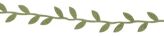 Olive Leafy Vine