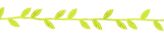 Celery Leafy Vine