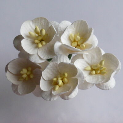 DEKORATIONER - Övriga - Tillbehör - Blommor - IVORY CHERRY BLOSSOM MULBERRY PAPER FLOWERS