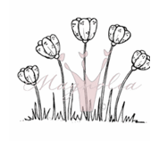SO08 Tulpaner / Tulips