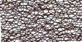 Web brown
