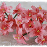 Vintage Pink Lily