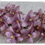 Vintage Lilac Lily