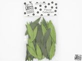 YD Flower Collection Leaves 2 sizes