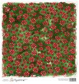 Sweet Green Poinsetta