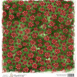 Sweet Green Poinsetta