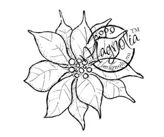 JM09 Poinsetta