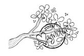 Magnolia Branch