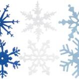 Large Felt Snowflake 24/Pkg