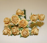 Mulberry rose medium vanilla 20mm
