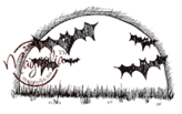 HW09 Moon & Bats
