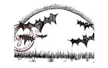 HW09 Moon & Bats