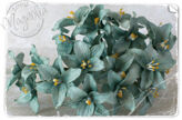 Vintage Turquise Lily