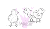 Chickens MINI