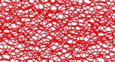 Red Web