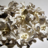 Mulberry Gardenia Vit 6 st