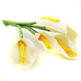 miniature calla lily white