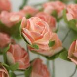 rose bouquet