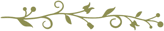 Vine border die