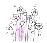 Summer Flowers