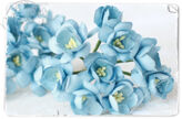 F-CB09 Vintage Blue Cherry
