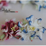 Gardenia   Shabby Red & Blue