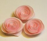 Flower spin Small pink