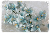Vintage Light Blue Lily