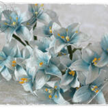 Vintage Light Blue Lily