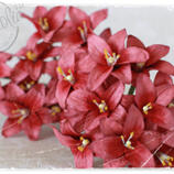 Vintage Old Red Lily